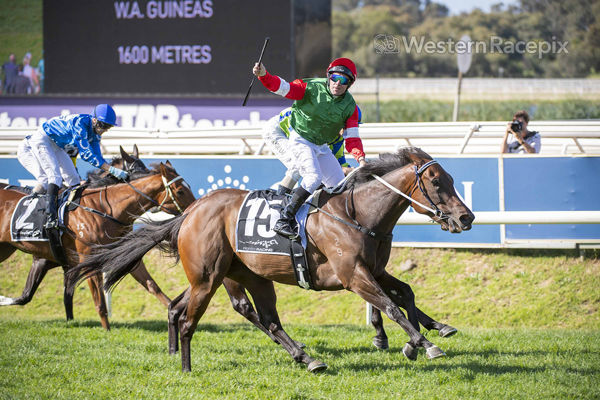 Back to Business for Amelia's Jewel in WA Guineas