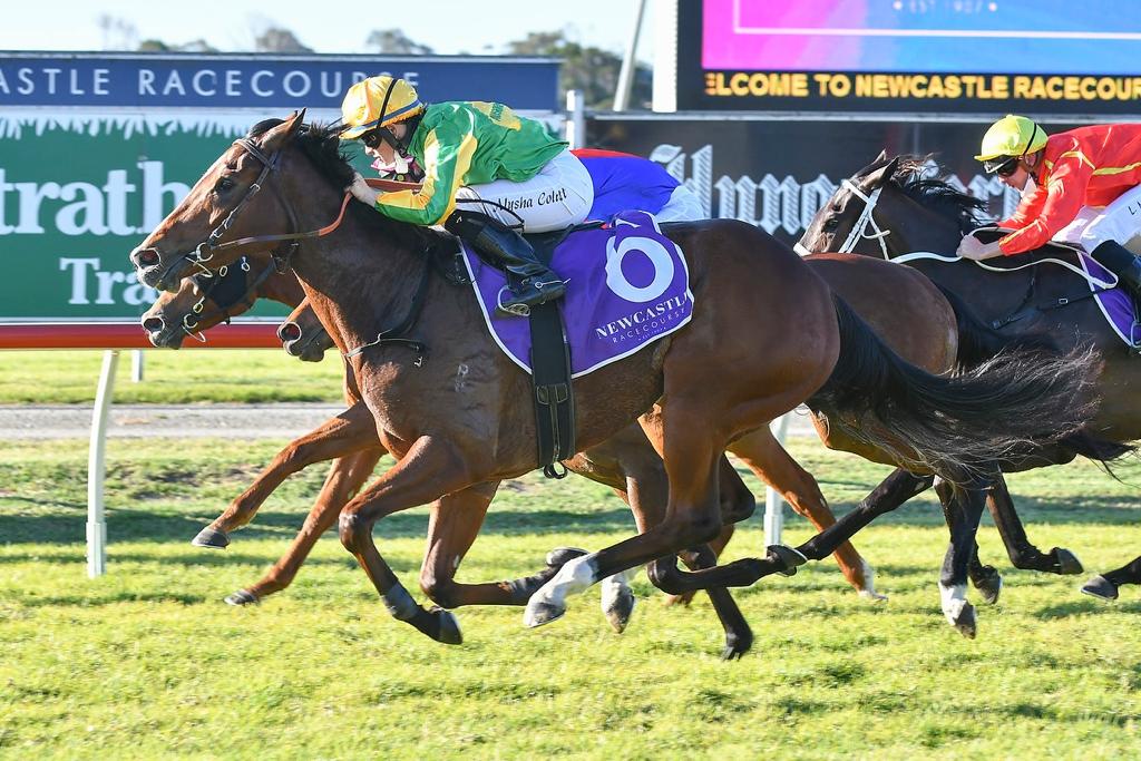 Ausbred Flirt ready for Saturday grade test at Randwick