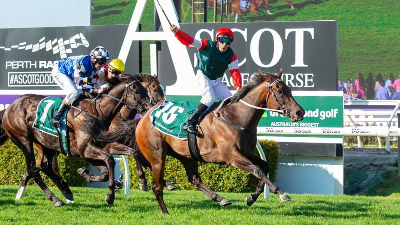 Amelia's Jewel shines in Northerly Stakes win Amelia's Jewel shines in Northerly Stakes win