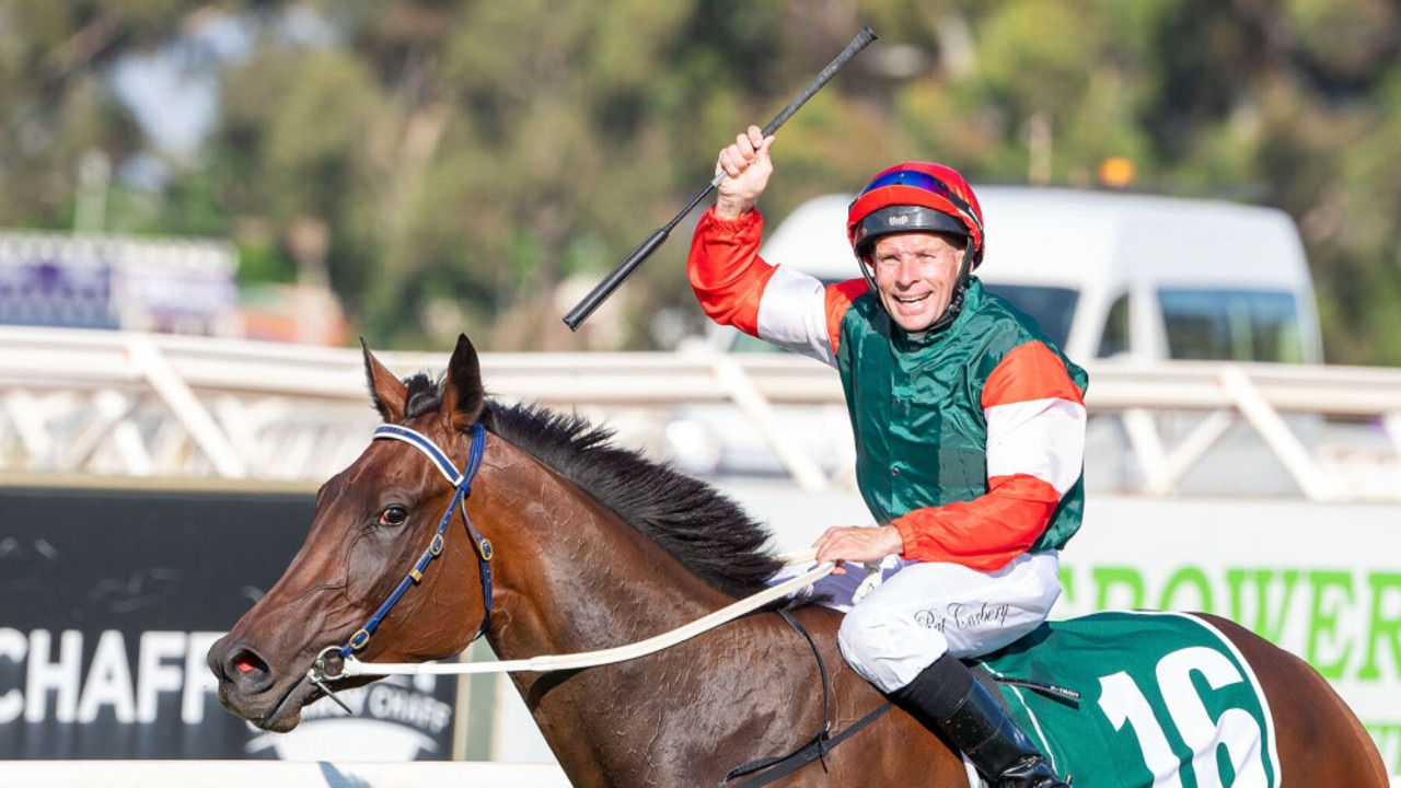 Amelia's Jewel set to become Australia's 'sexiest' racehorse.