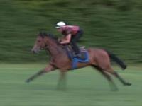 Welcome to the magnificent training centre of Chantilly !