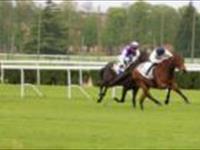 Fixette gets 2yo black type in France 