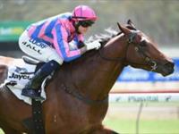 Pilote d'Essai resumes in style
