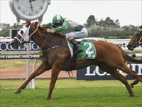 VOLPE dominates at Rosehill