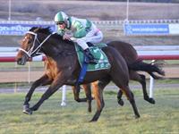 Lightly raced 3yo Pierino wins on debut