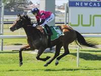 Buckin' Beauty impress at Newcastle