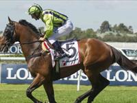 Ventura Storm on track for the Caulfield Cup