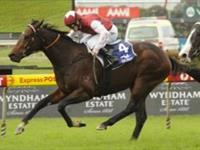 Galah, first stallion deal for Astute Bloodstock