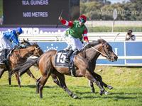 Back to Business for Amelia's Jewel in WA Guineas