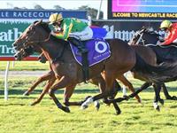 Ausbred Flirt ready for Saturday grade test at Randwick