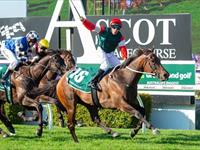 Amelia's Jewel shines in Northerly Stakes win