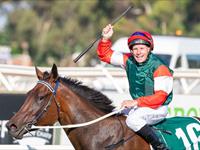 Amelia's Jewel set to become Australia's 'sexiest' racehorse.