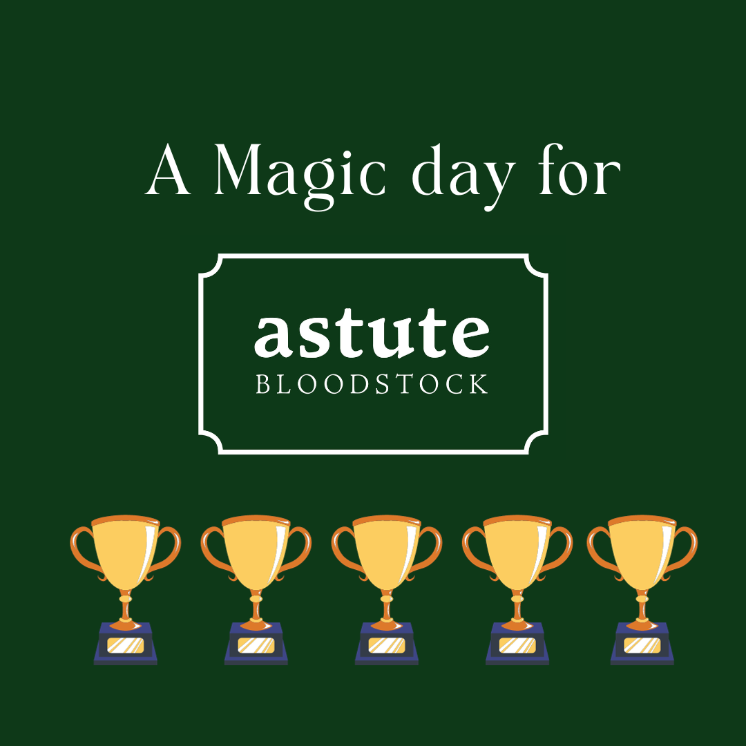 Last Saturday was a special day for Astute Bloodstock