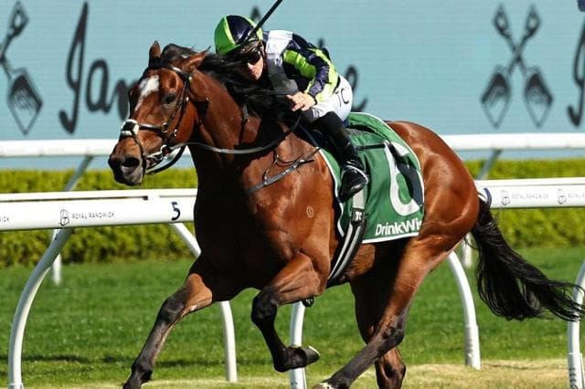Eliyass digs deep to claim Kingston Town Stakes at Randwick