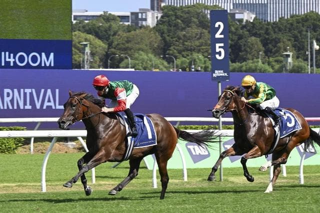 New Prep - New Tactics - Old Results for Amelia's Jewel