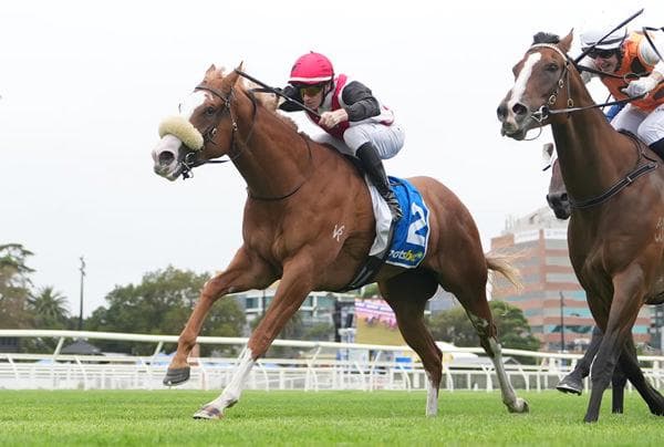 She's Back with a Win!