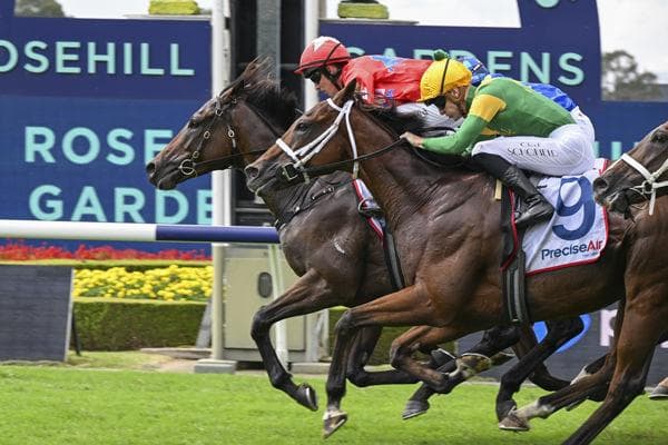 Mr Monaco Wins G3 N E Manion Cup – G1 Sydney Cup Bound